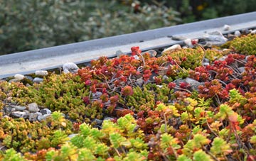 the cost of Ardgartan green roof installation